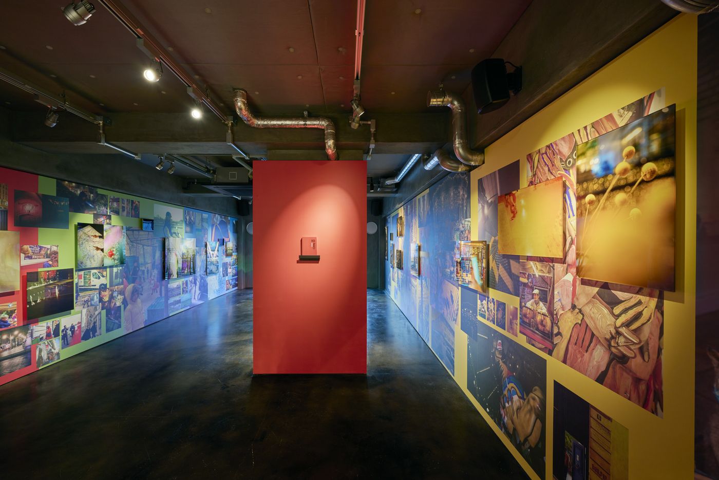 鷹巣由佳の展示風景。壁一面に写真が色の連なりで並ぶ